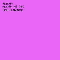 #E567F4 - Pink Flamingo Color Image